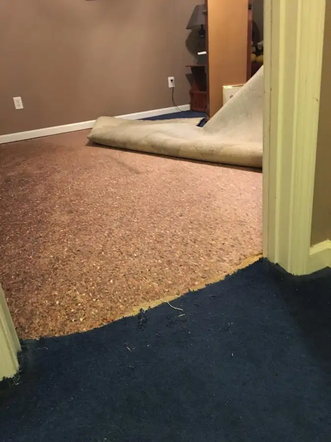 Carpet pad removal revealing water damage during Water Mitigation Services in Catskill