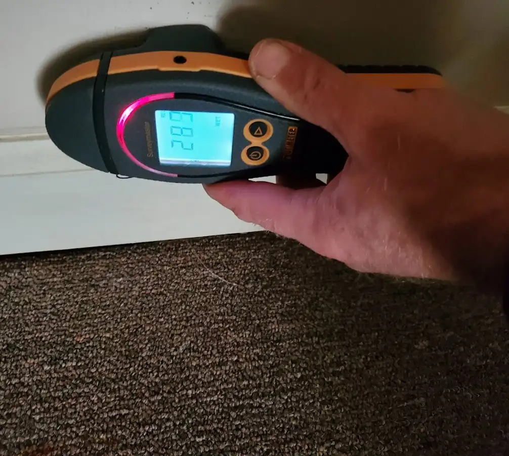 Moisture detection at baseboard during Mold Inspection & Testing in Catskill